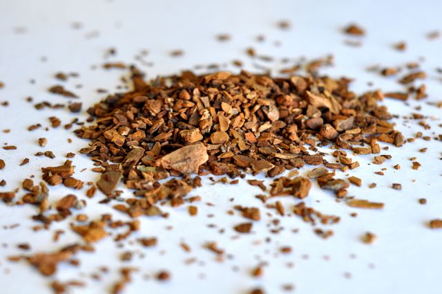 Sassafras Root